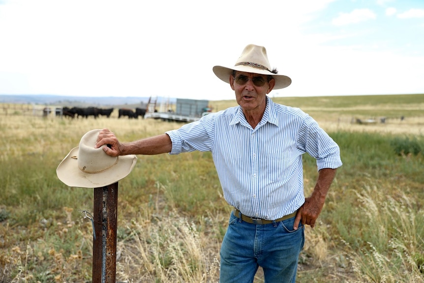 Farmer David Marsh leaning on a fence post with cattle and green grass in the background.