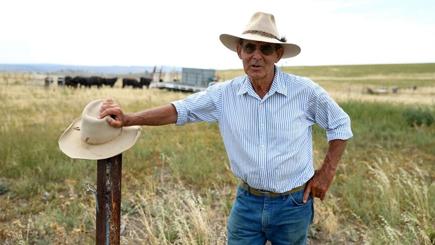 Farmer David Marsh leaning on a fence post with cattle and green grass in the background.