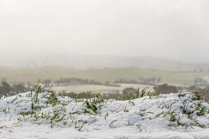 A light snowfalls with tufts of grass sticking out of it, with rolling hills in the background dusted with snow.