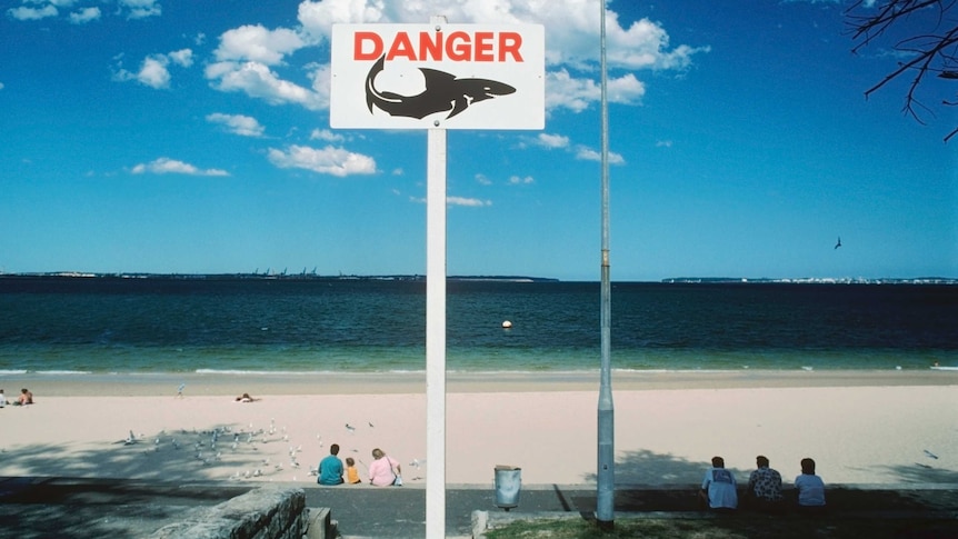 Shark warning sign Botany Bay beach