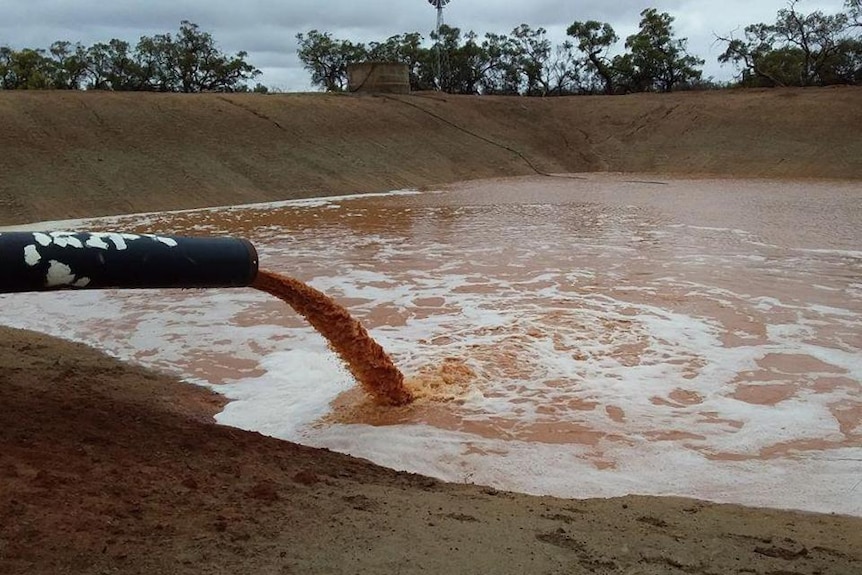 Water runs from a pipe into a muddy damn.