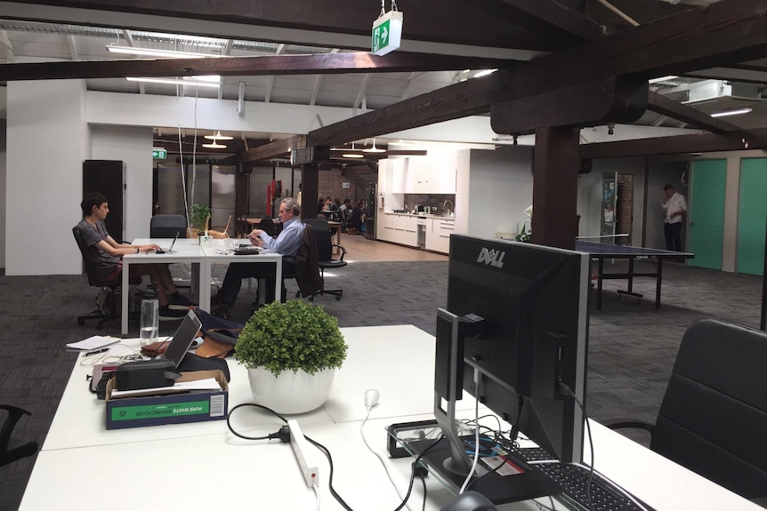 Workers at the start-up co-working space Haymarket HQ in Sydney's Chinatown