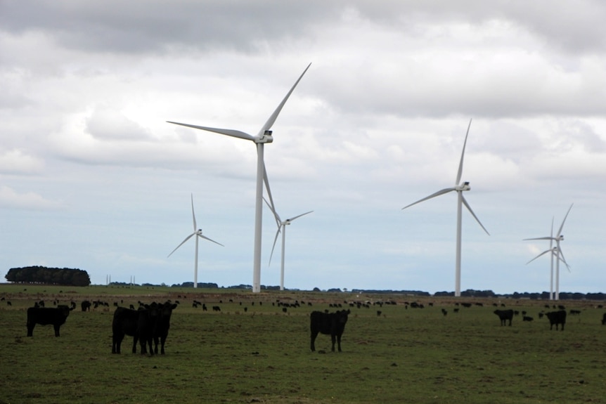 Wind turbines and power lines in a farming region