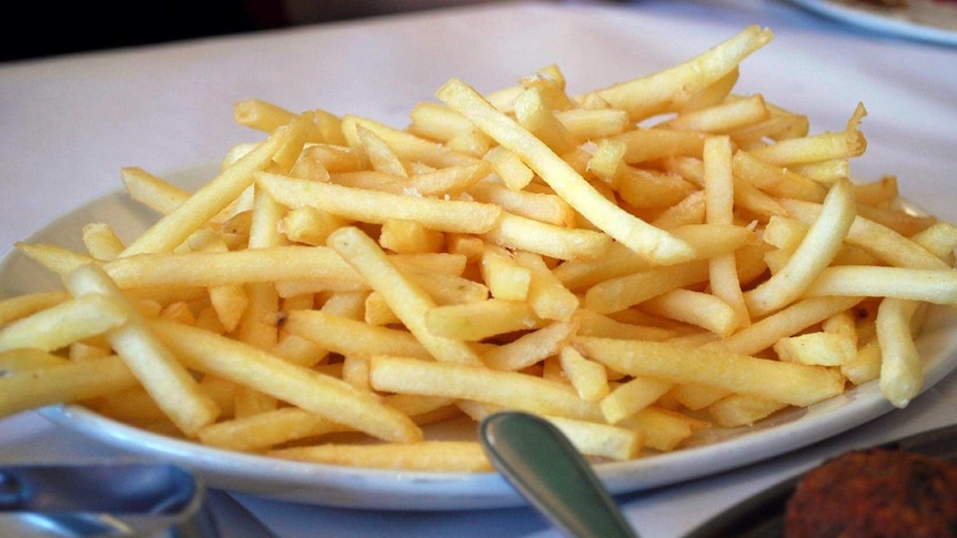 A plate of hot crispy French fries.