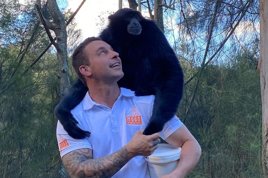 A smiling man with short, dark hair and a sleeve tattoo looks up at a dark, large primate sitting on his shoulders.