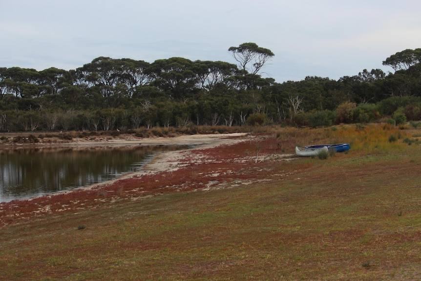 A couple of canoes at the edge of a dam filled with water.