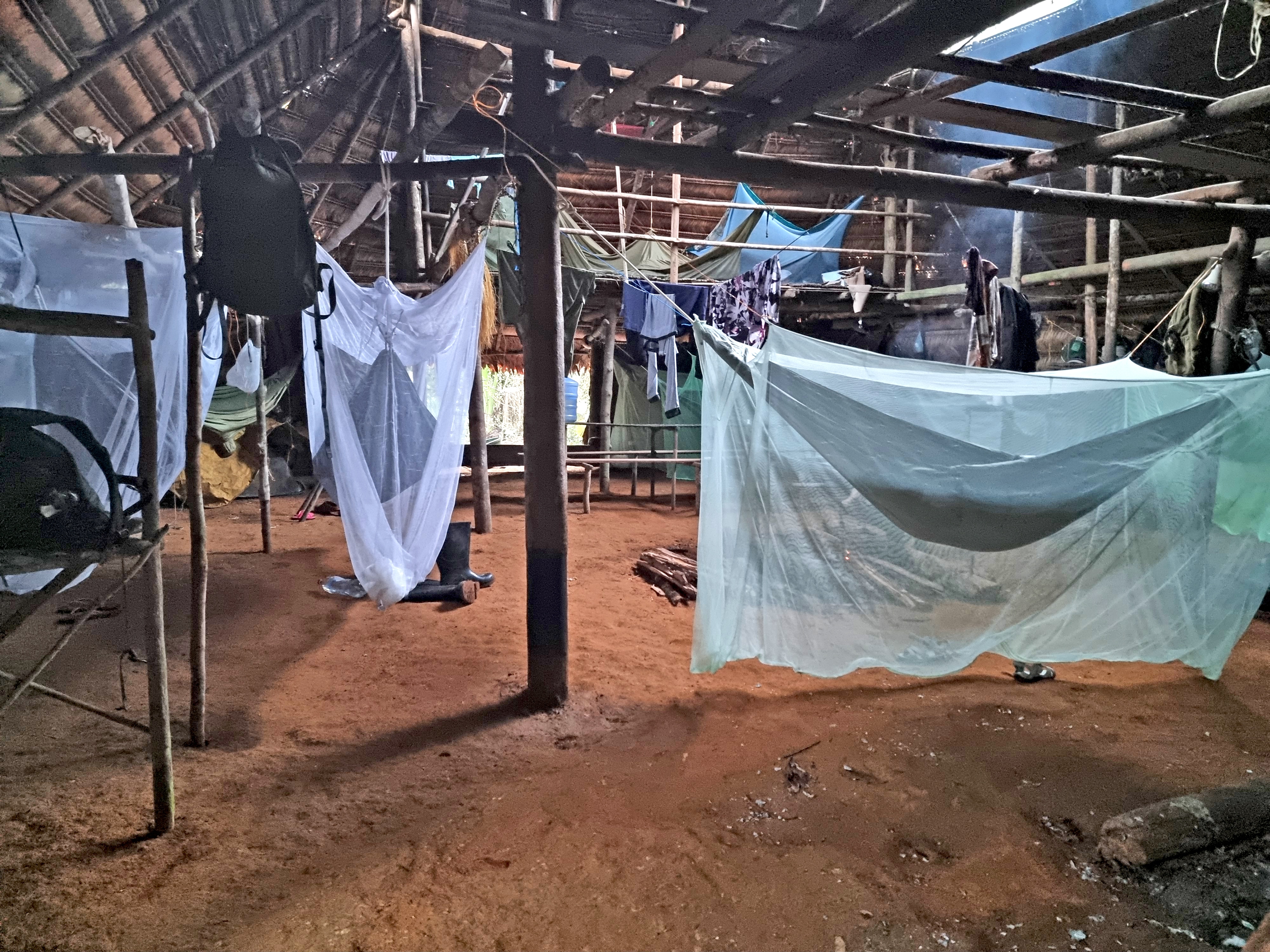 Hammocks shrouded in mosquito netting hang from the beams of a traditional maloca house