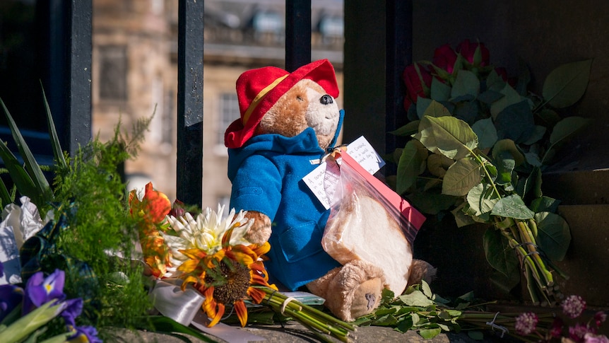 A stuffed Paddington bear is pictured in front of a gate with a marmalade sandwich around it neck in a plastic bag.