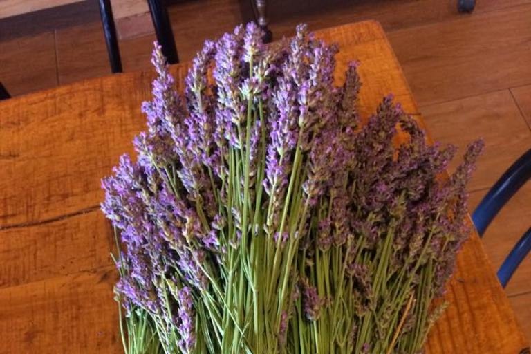 Bunches of lavender piled on a table.