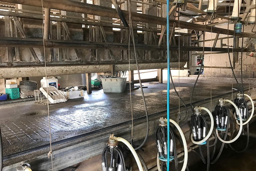 An empty milking shed.