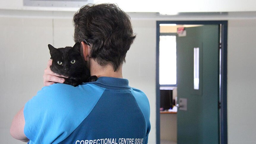 An inmate, unidentified, holds a cat in in one of the units.