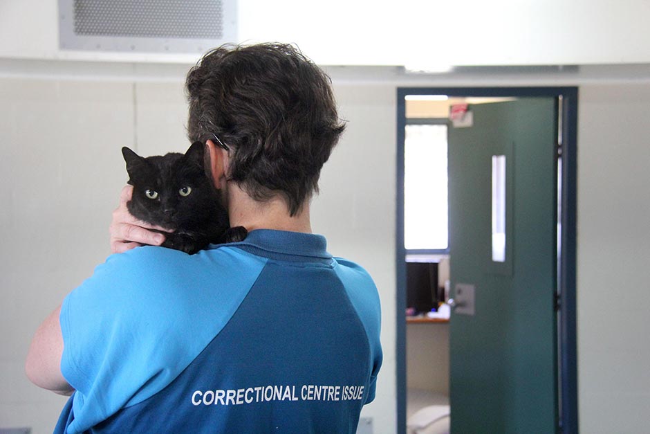An inmate, unidentified, holds a cat in in one of the units.