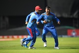 Two Afghanistan cricketers begin to run in towards teammates after taking a wicket - one, Rashid Khan, is facing the camera.