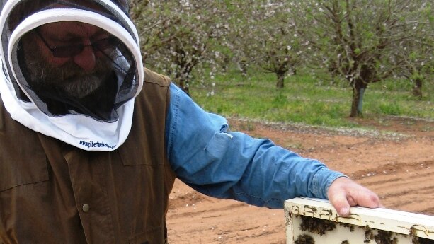 Beekeeper Martin Gilbert