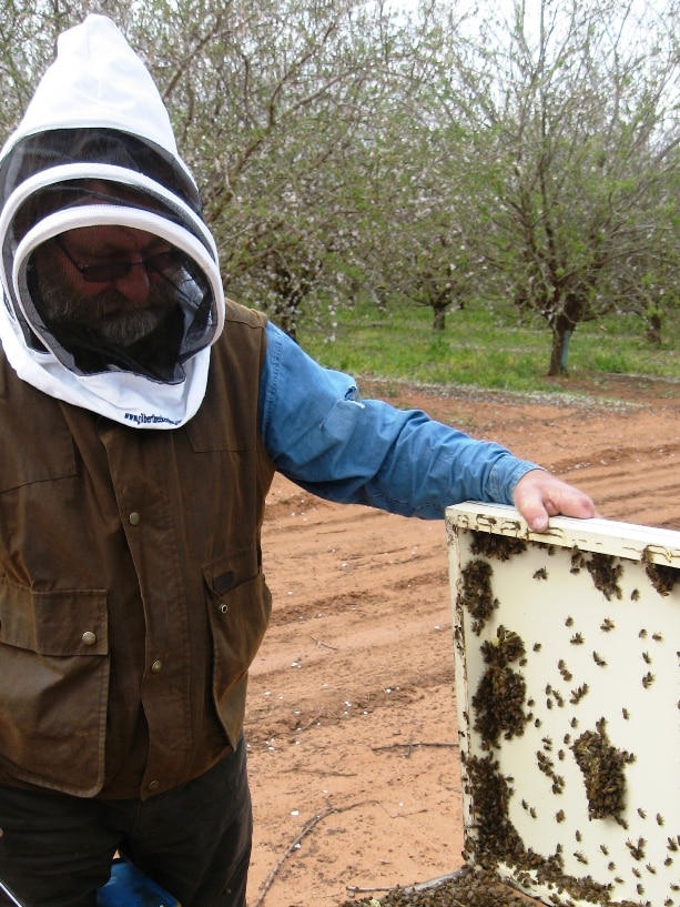 Beekeeper Martin Gilbert