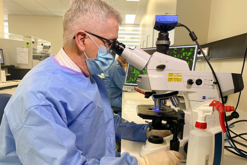 A man with white hair wearing a mask and scrubs looks into a machine.