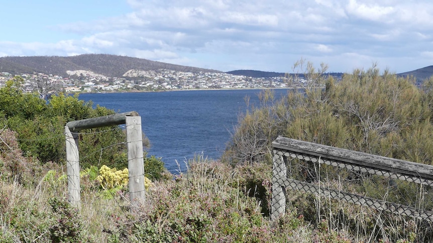 The cliff edge at Wentworth Park at Bellerive second bluff.