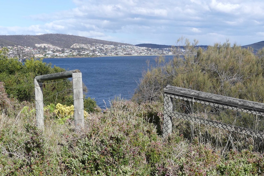 The cliff edge at Wentworth Park at Bellerive second bluff.