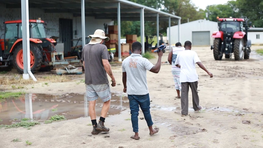 Central Queensland sweet potato farmer Eric Coleman walk past a shed with Jean Ntakarutimana and Jean's parents.