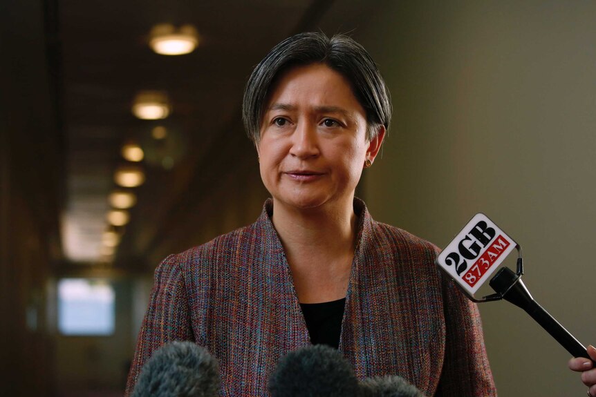 Labor senator Penny Wong answers questions in the Parliament House press gallery