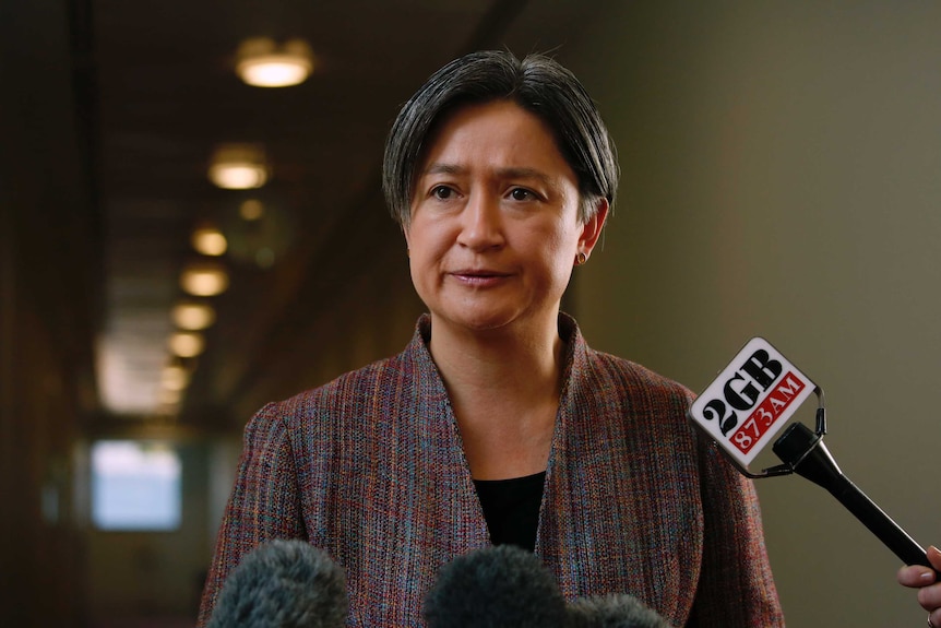 Labor Senator Penny Wong Answers Questions in the Parliament House Press gallery