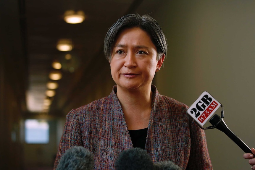 Labor senator Penny Wong answers questions in the Parliament House press gallery