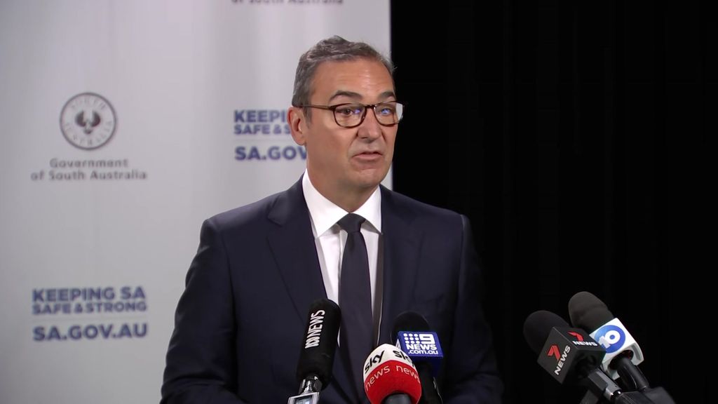 Steven Marshall provides an update to their COVID-19 ready plan - ABC News