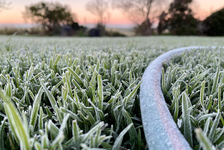 Frosty morning near Toowoomba