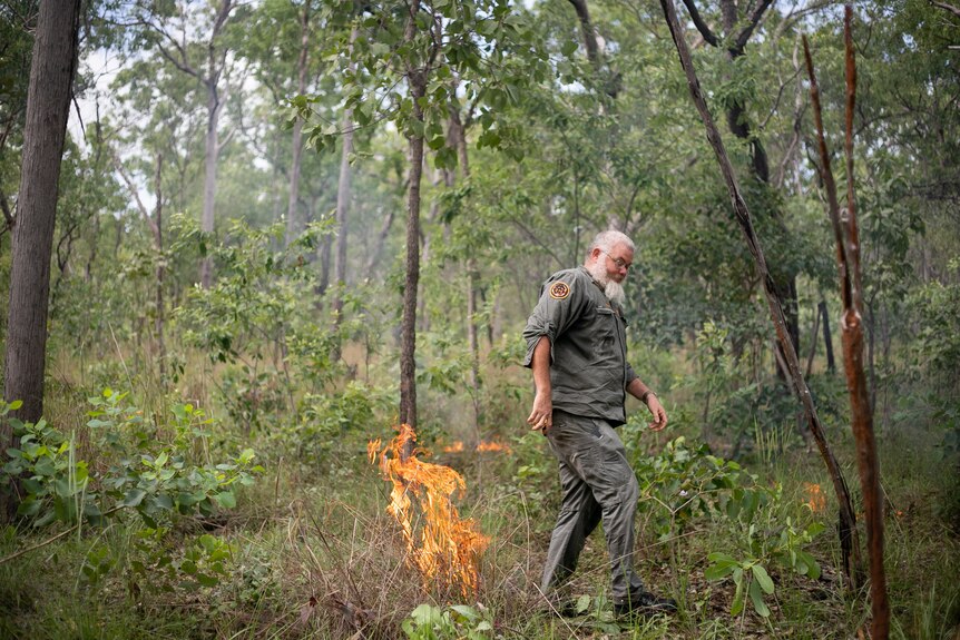 A male ranger with grey hair walks past a burning tuft of dry grass in a green forest. 