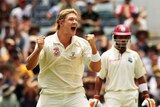 Overly exuberant: Shane Watson celebrates the wicket of Chris Gayle during day four of the third Test.