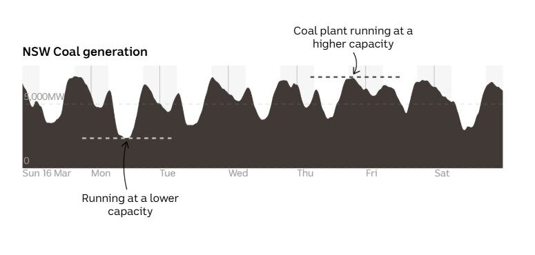 A black area chart showing the ebb and flow of coal generation over a week in NSW.