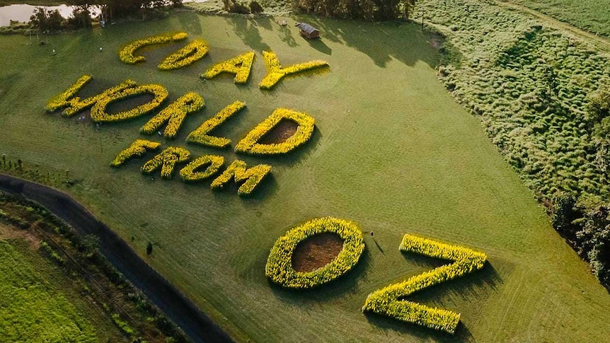 Aerial photograph of the words "g'day world from Oz"  written in huge sunflower letters.