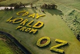 Aerial photograph of the words "g'day world from Oz"  written in huge sunflower letters.