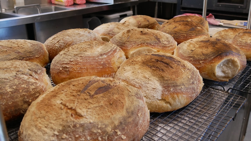 Freshly baked bread cools on a kitchen bench at Salty's cafe and bakery on the Cocos Islands. 