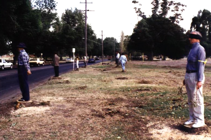 Save Albert Park members after more than 1300 trees were cut down in Albert Park.