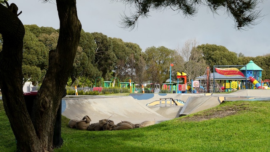 A wide shot of the Millicent skatepark with only glimpses of the large squid mural in view.