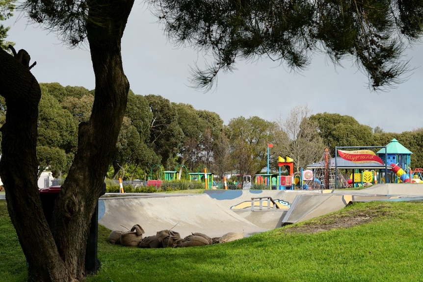 A wide shot of the Millicent skatepark with only glimpses of the large squid mural in view.