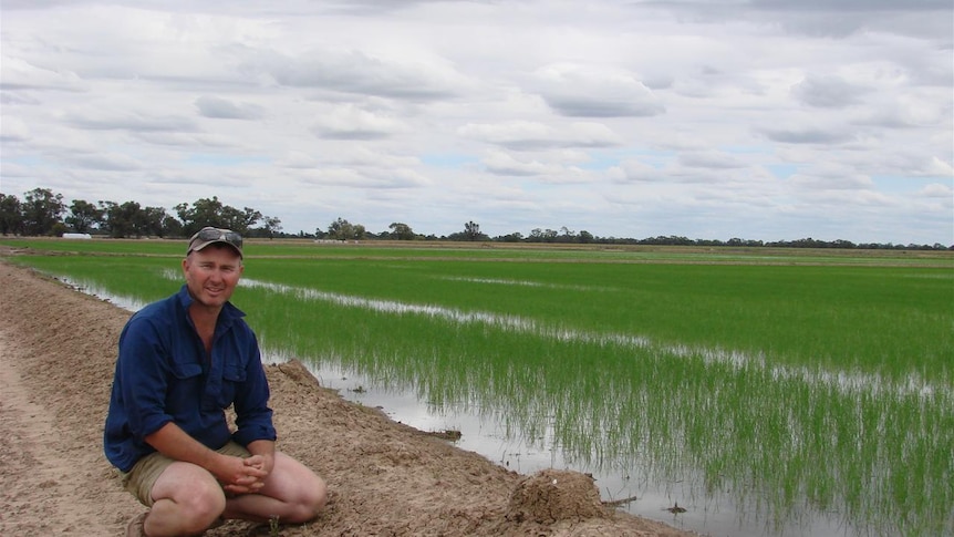 Michael Hughes with rice crop