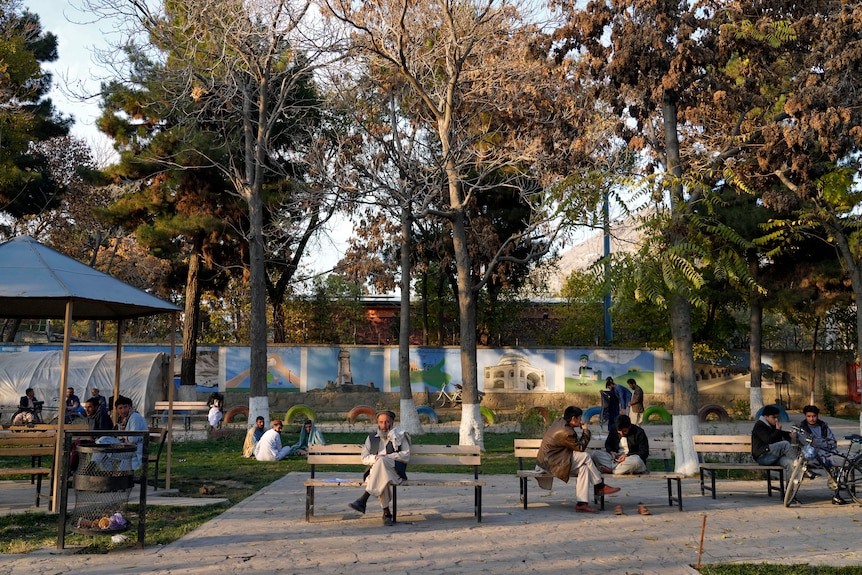 Afghan men sit in small groups in a park.