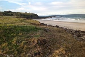 Sharpes Beach is closed for 24 hours after a shark attack.