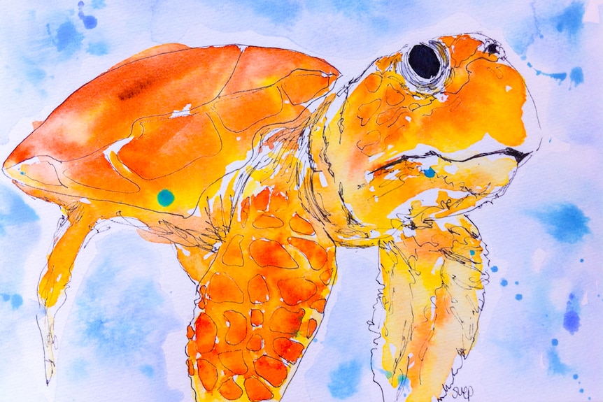 Orange turtle painted in water colours.