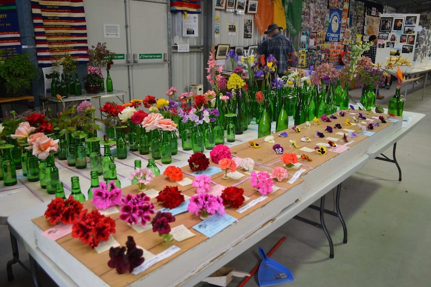All different shaped and coloured flowers are displayed on a table. Some are in green bottles others are on a board.