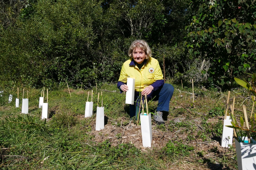Sue Baker kneeling next to new plantings 