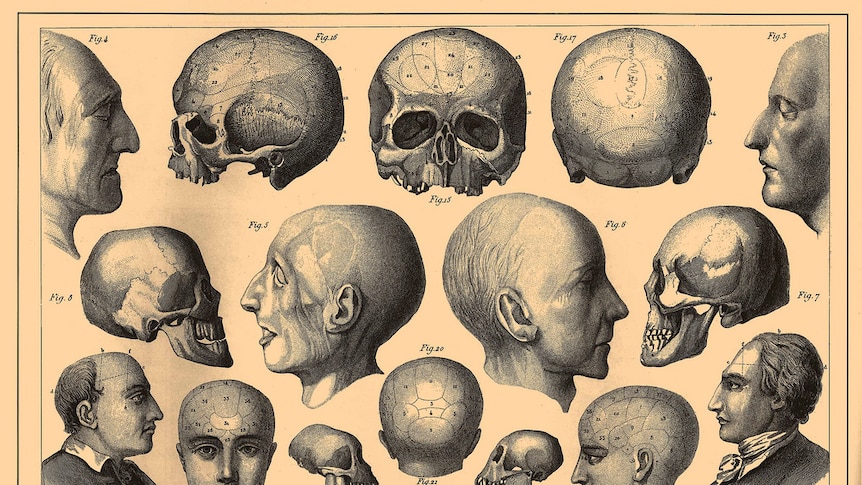 Three Skulls Theories Archive on X: I believe that this is one of