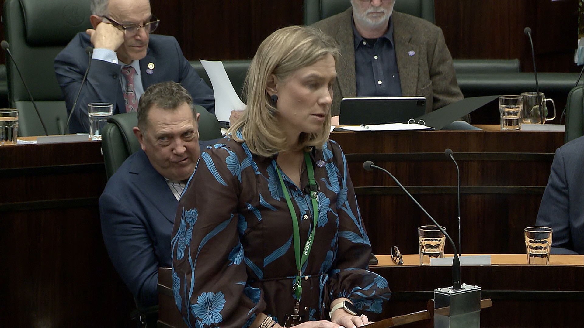 Kristie Johnston speaks in parliament as Gavin Pearce sits behind her pulling a face.