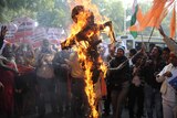Indian rape protesters burn effigy