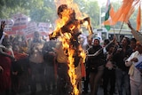 Indian rape protesters burn effigy