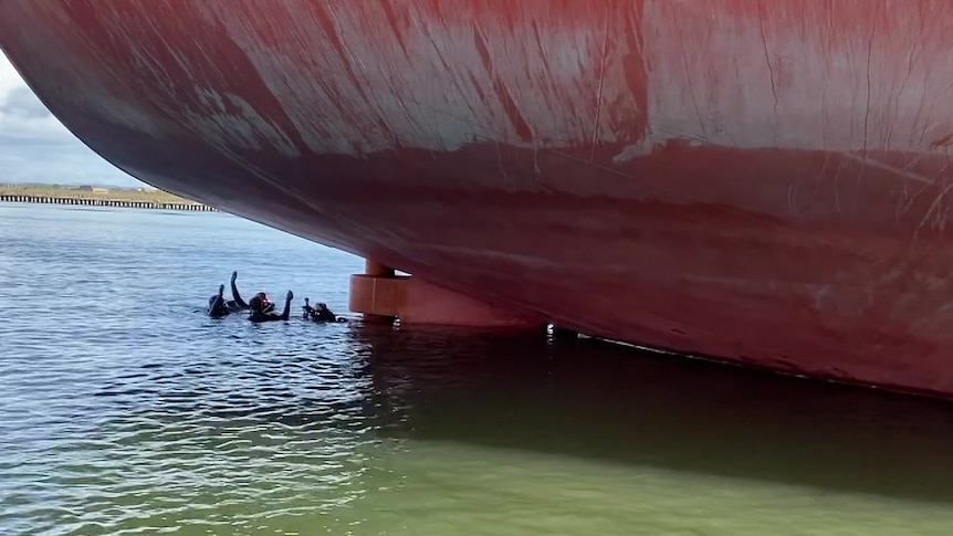 divers next to a ship