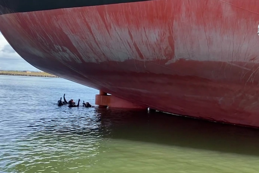 Divers beneath the hull of a huge cargo ship.