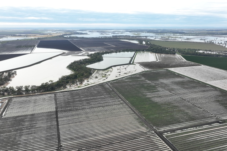 aerial farm flooding shot